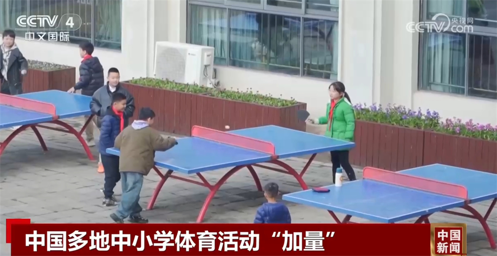 他们不仅仅