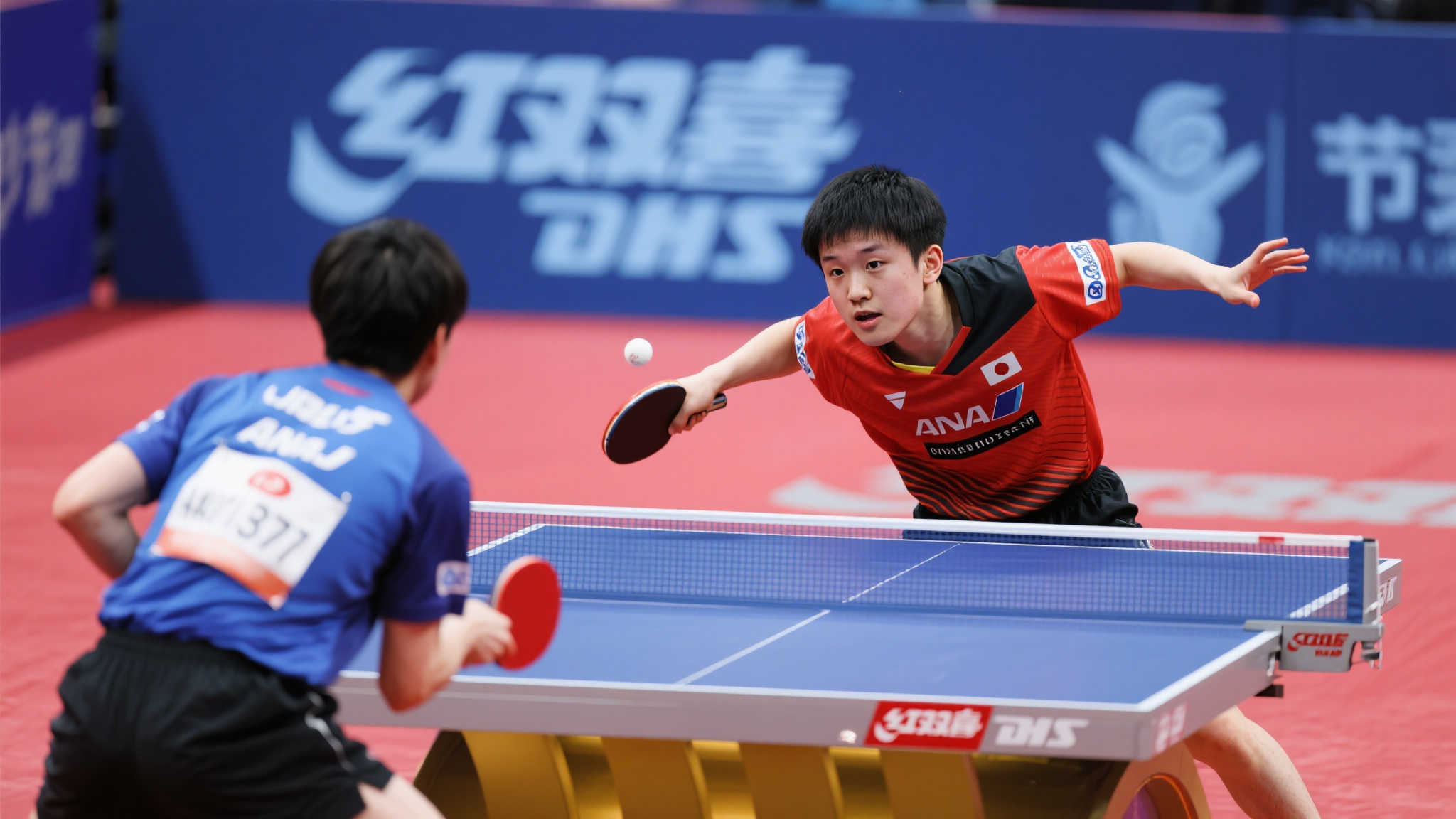 即引起了广 即引起了广